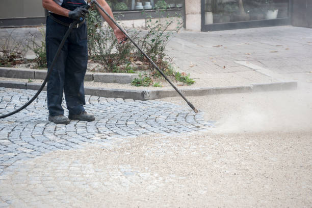 Best Dumpster Area Cleaning  in Oldsmar, FL